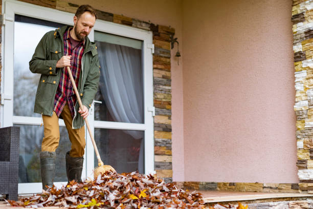 Best Attic Cleanout Services  in Mound, MN